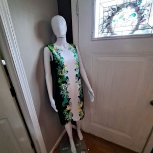 Size 6 Calvin Klein Floral Shift Dress
